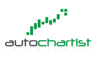 авточартист